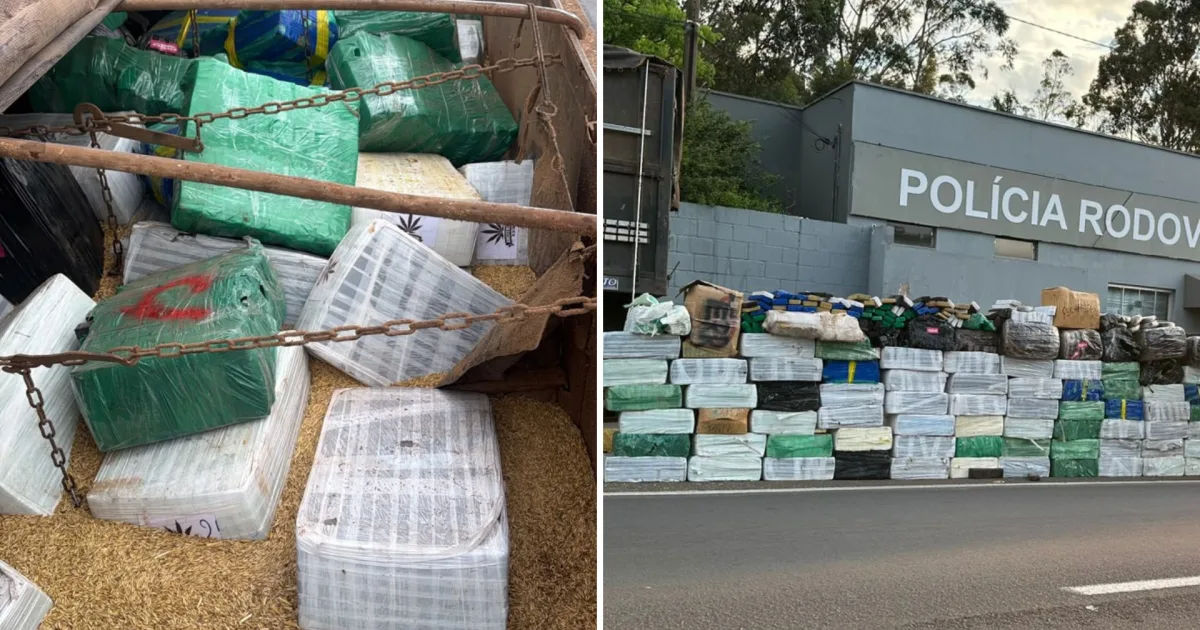 Fiscalização em rodovia de Pirapozinho leva à apreensão de maconha em carga agrícola