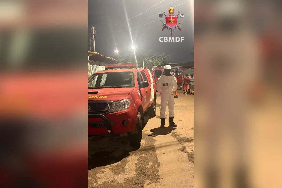 Bombeiros orientam moradores após captura de abelhas em Taguatinga