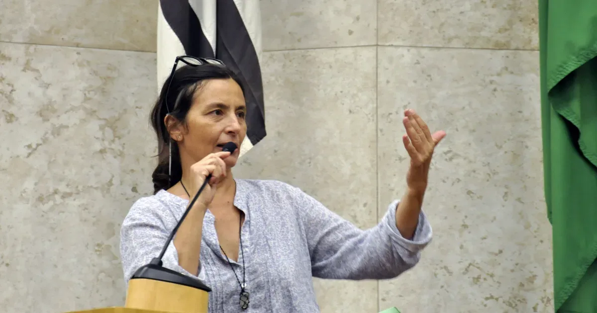 Soninha Francine disputa vaga ao Senado por São Paulo