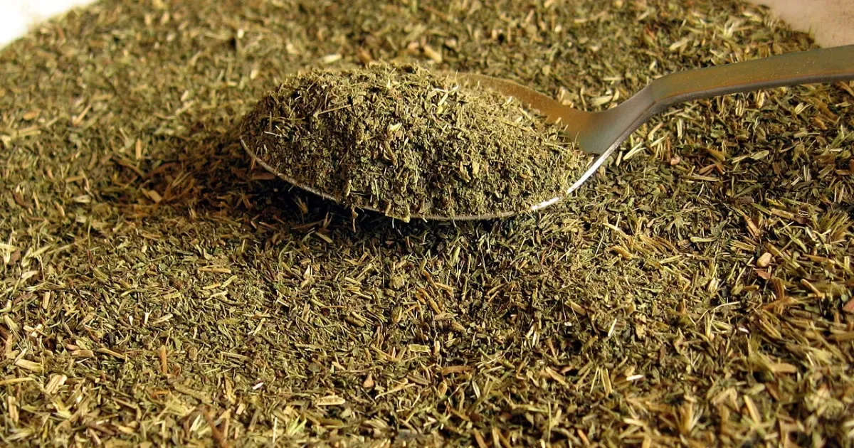 Estudo em camundongos liga sucralose e stevia a alterações metabólicas herdadas