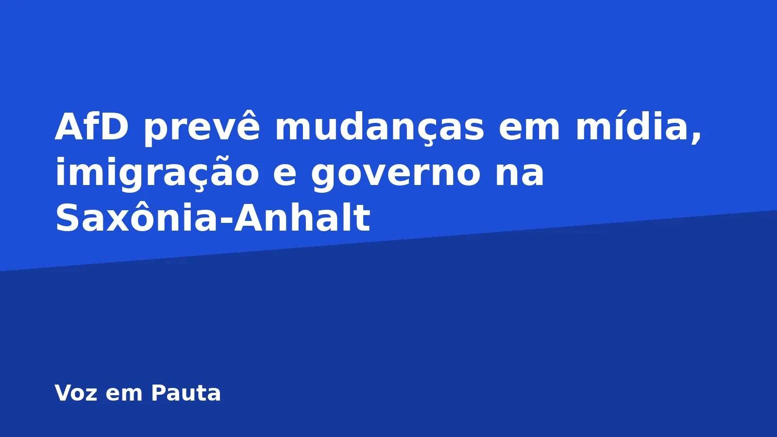 AfD prevê mudanças em mídia, imigração e governo na Saxônia-Anhalt
