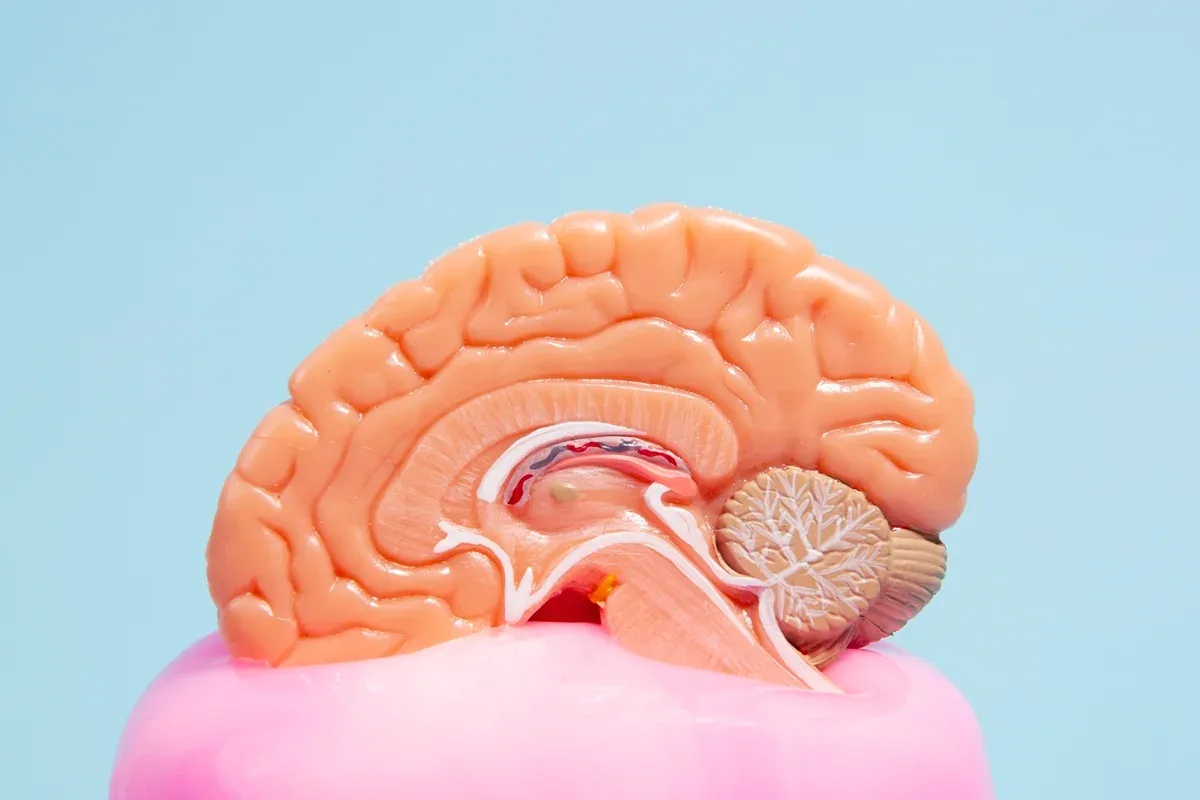 Atividades do cotidiano ajudam a manter capacidades em casos de Alzheimer