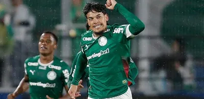 Botafogo e Palmeiras jogam neste domingo pelo Brasileirão; saiba onde ver