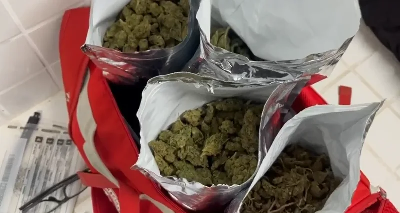 Polícia prende 33 e apreende 17 quilos de drogas em operação na Bahia