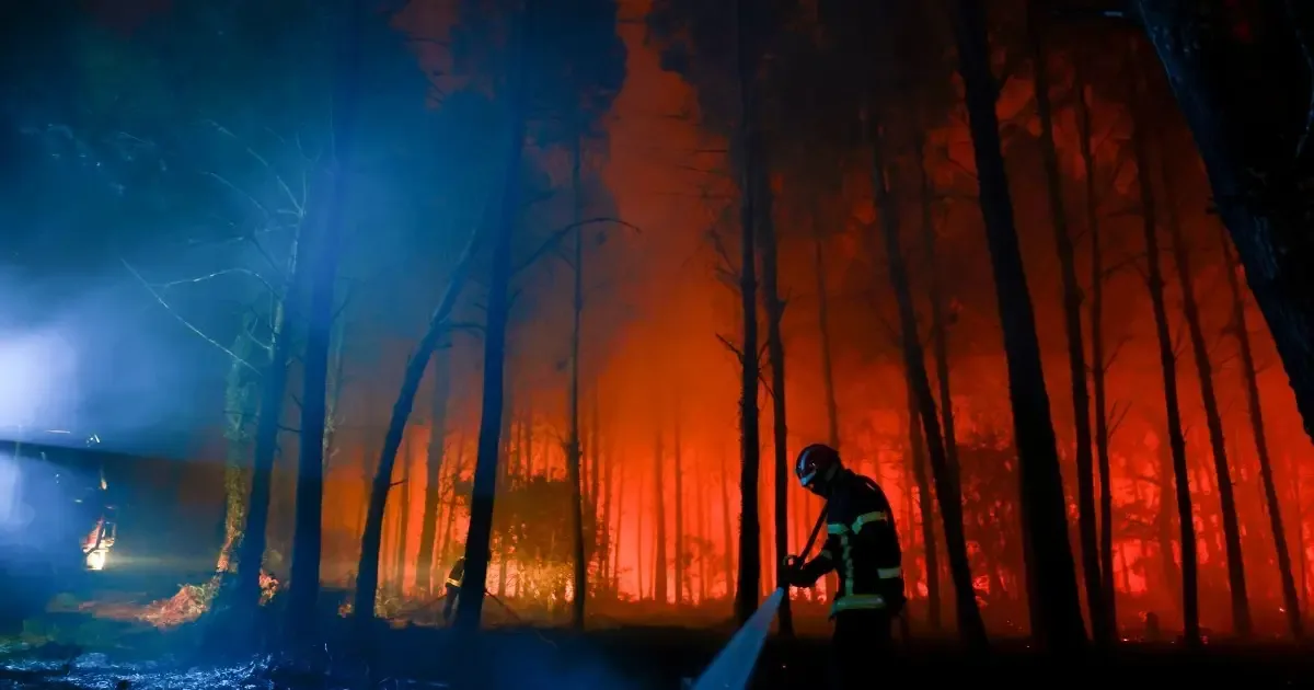 Incêndios queimam 98 mil hectares na França durante o verão
