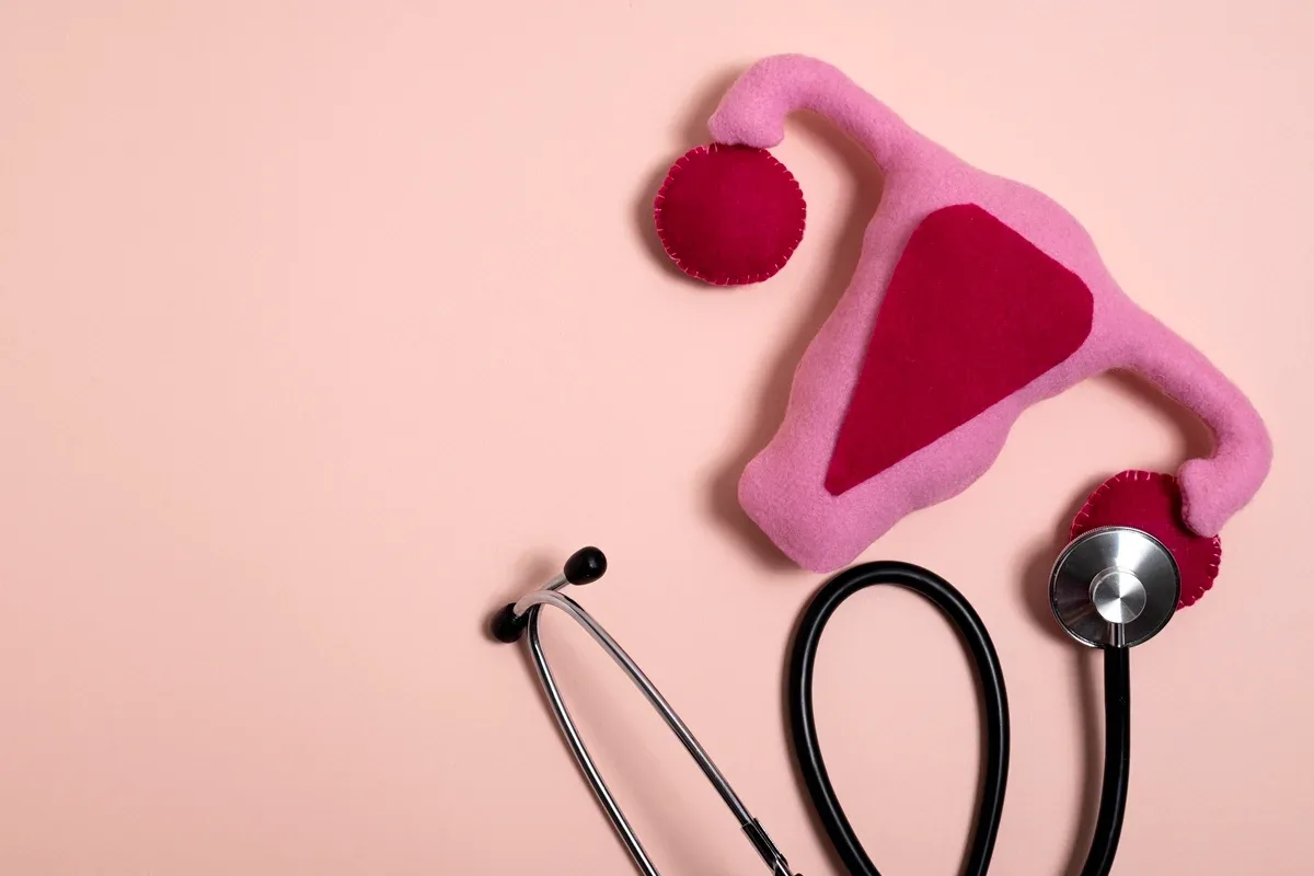 Consultas e exames seguem indicados para mulheres lésbicas, dizem especialistas