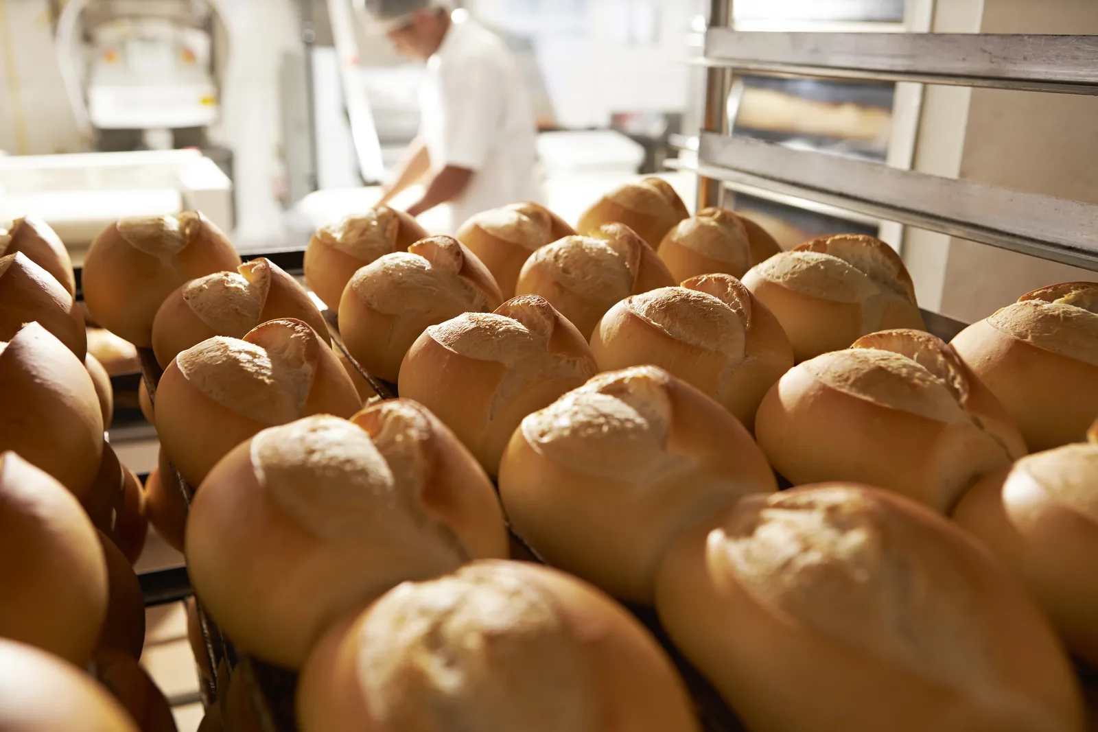 Padarias tradicionais ampliam atuação sem abandonar o pão francês