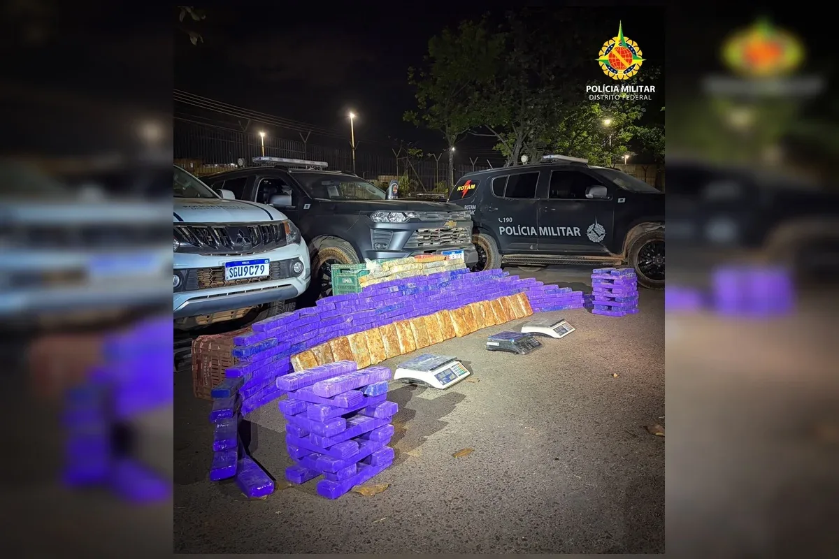 Drogas avaliadas em R$ 650 mil são localizadas em imóvel de Samambaia