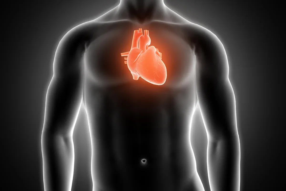 Atraso nas refeições no fim de semana foi associado a risco cardiovascular maior em homens