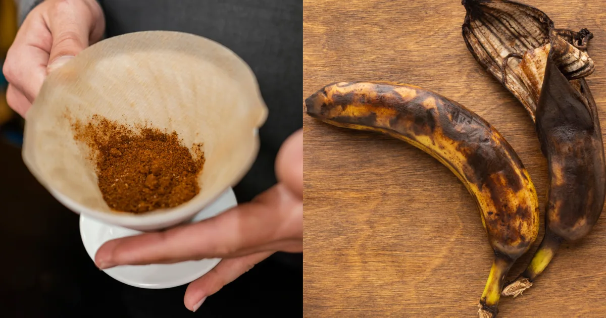 Mistura de café usado e casca de banana pode ter usos domésticos