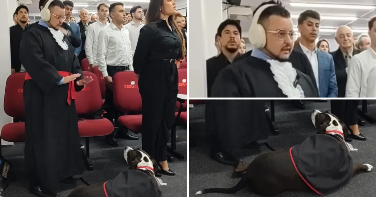 Yoda Sheldon acompanha tutor autista e monitora sinais durante formatura