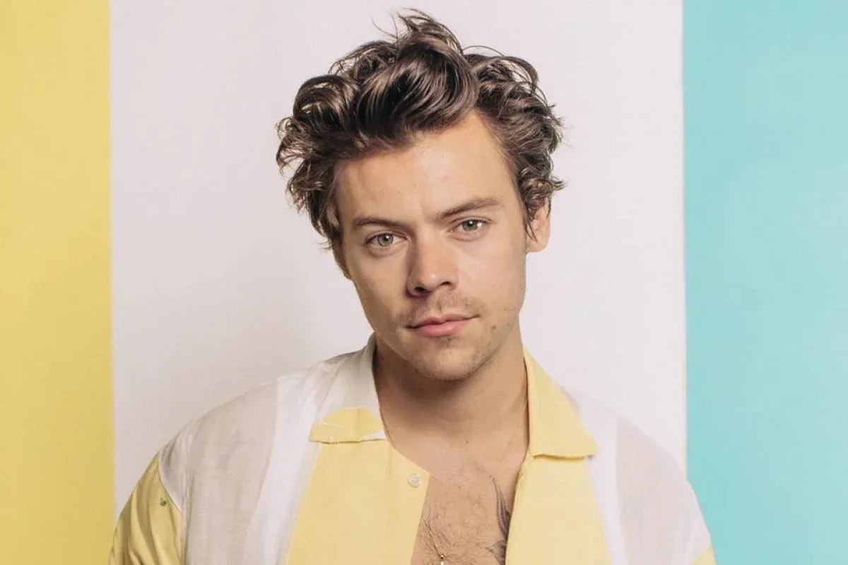 Arte de ingresso de Harry Styles em Nova York gera críticas nas redes