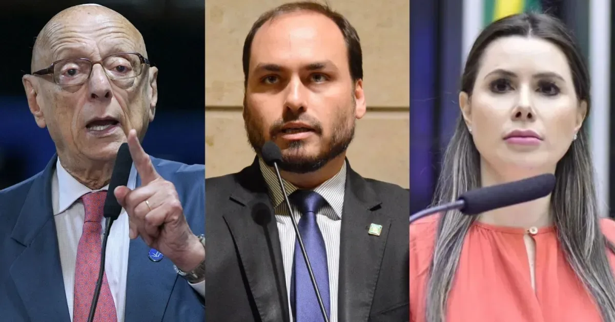 Carol de Toni lidera disputa ao Senado em Santa Catarina com 24%