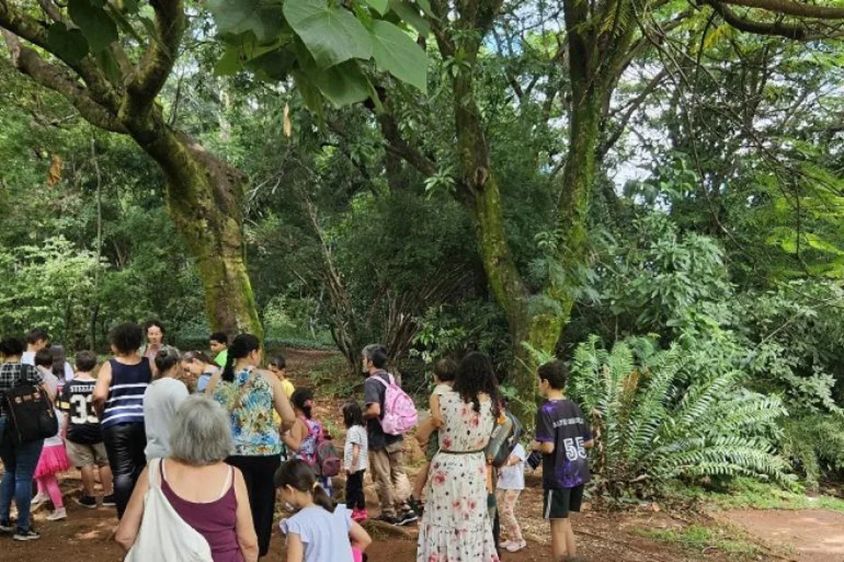 Belo Horizonte reúne dança, oficinas e trilhas em parques municipais