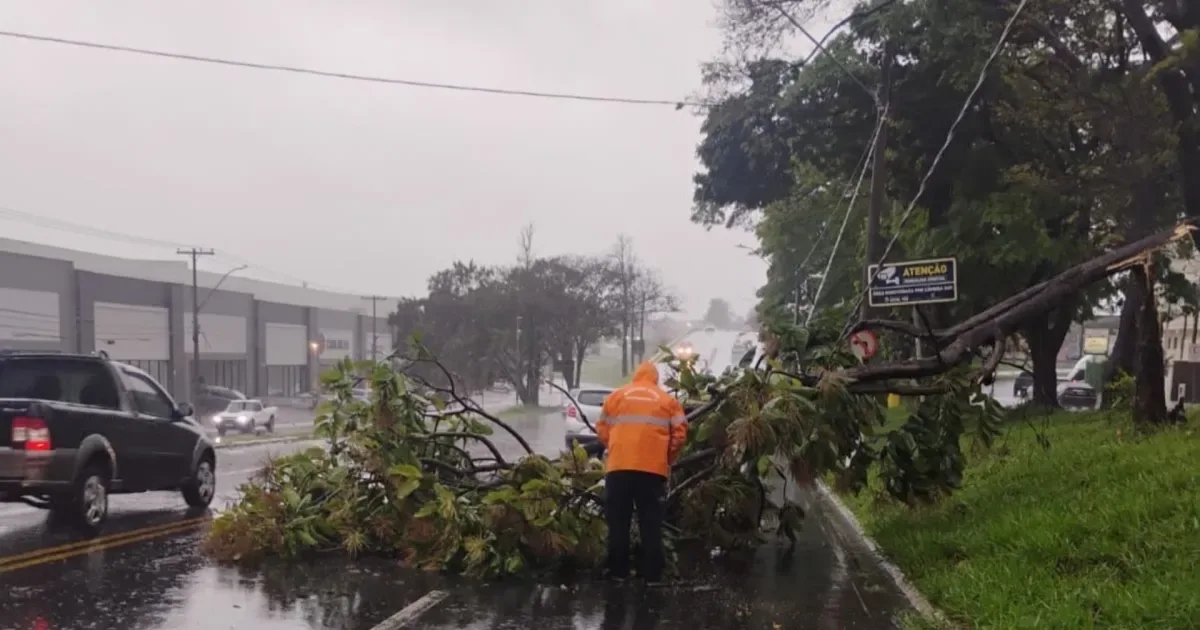 Chuva em São Paulo já supera média prevista para setembro