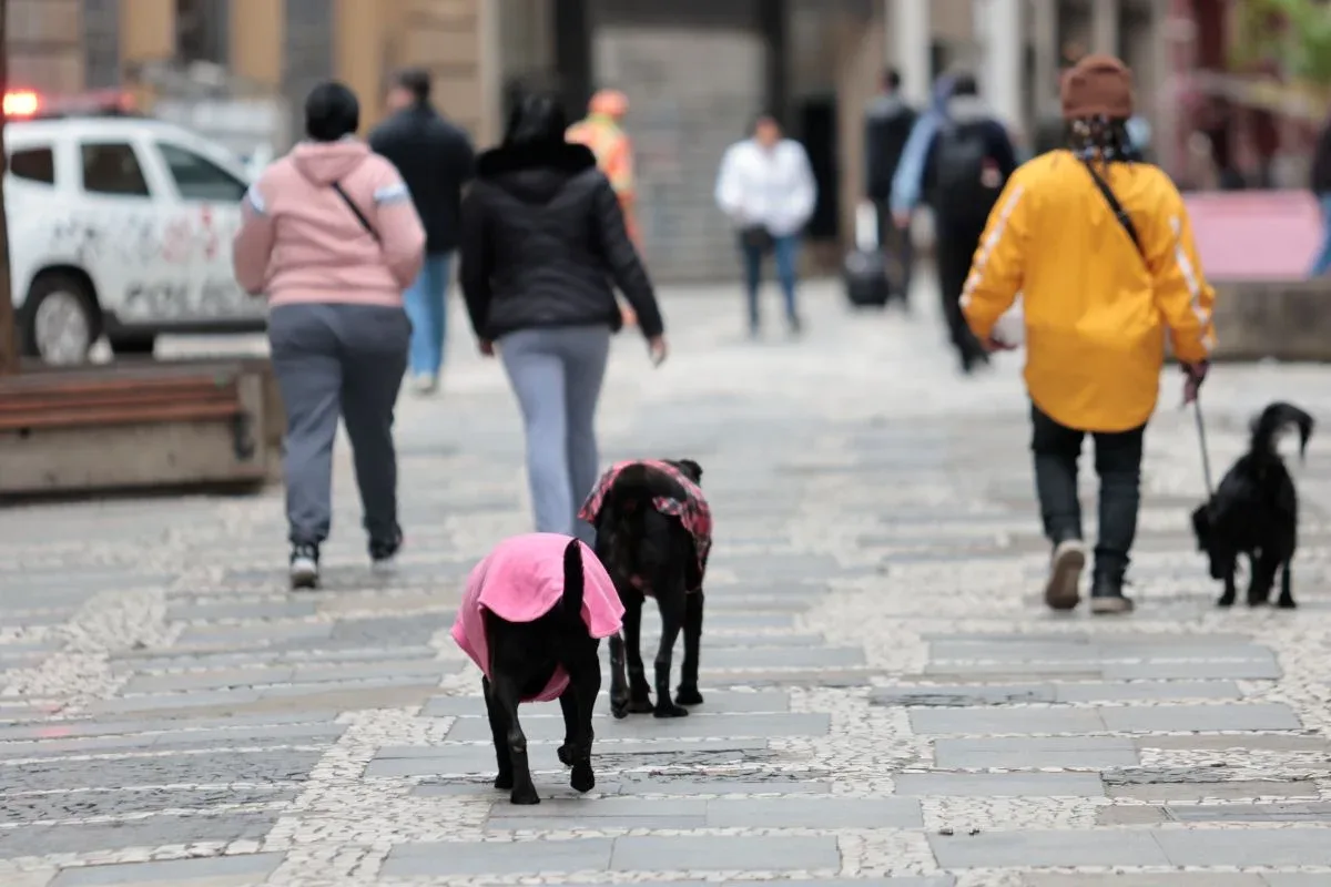 São Paulo registra domingo mais frio do ano, com máxima à meia-noite