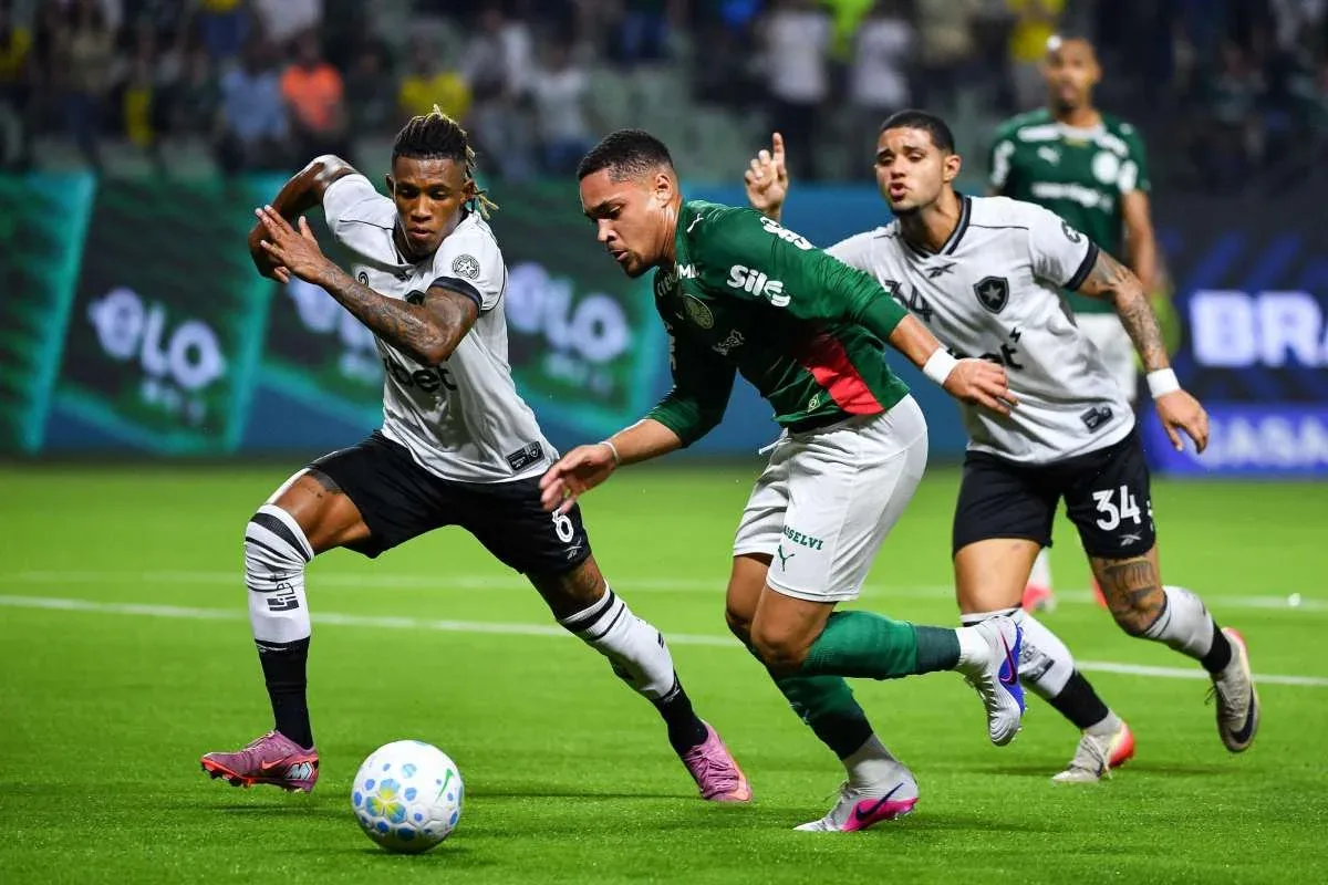 Botafogo e Palmeiras chegam ao duelo com objetivos distintos no Brasileirão