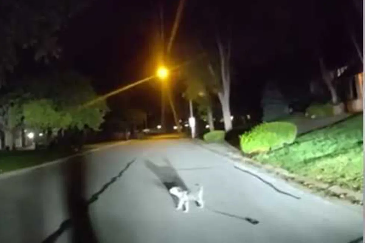 Morador é encontrado após cachorro chamar atenção de policiais em Leawood