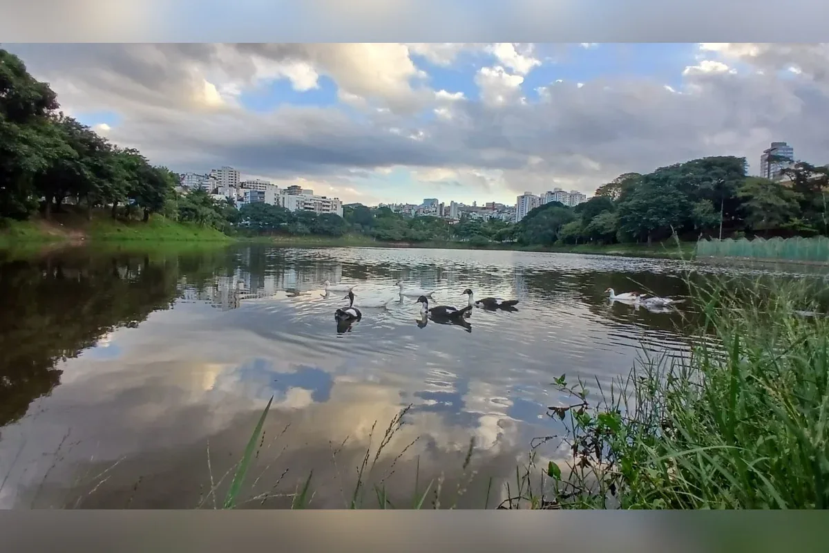 Belo Horizonte pode chegar a 37°C antes da chegada de chuva e frente fria